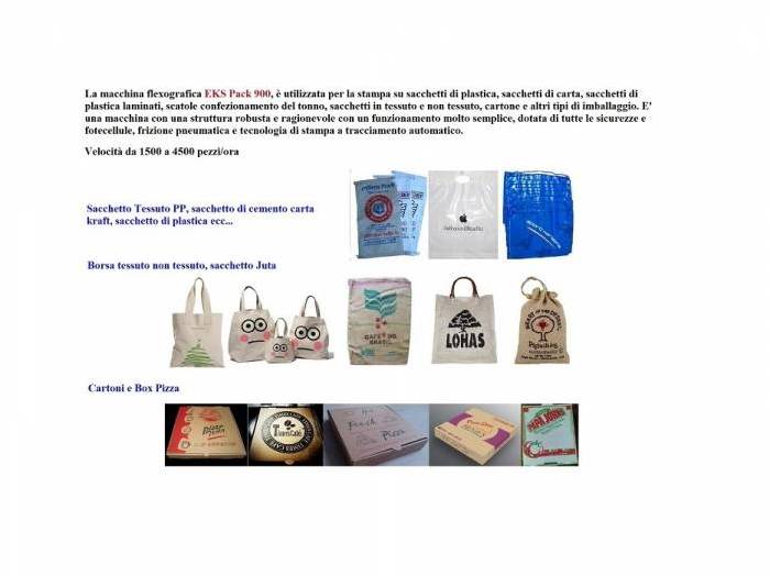 Macchina Flexografica per Shoppers Carta e Cartone Pic 2