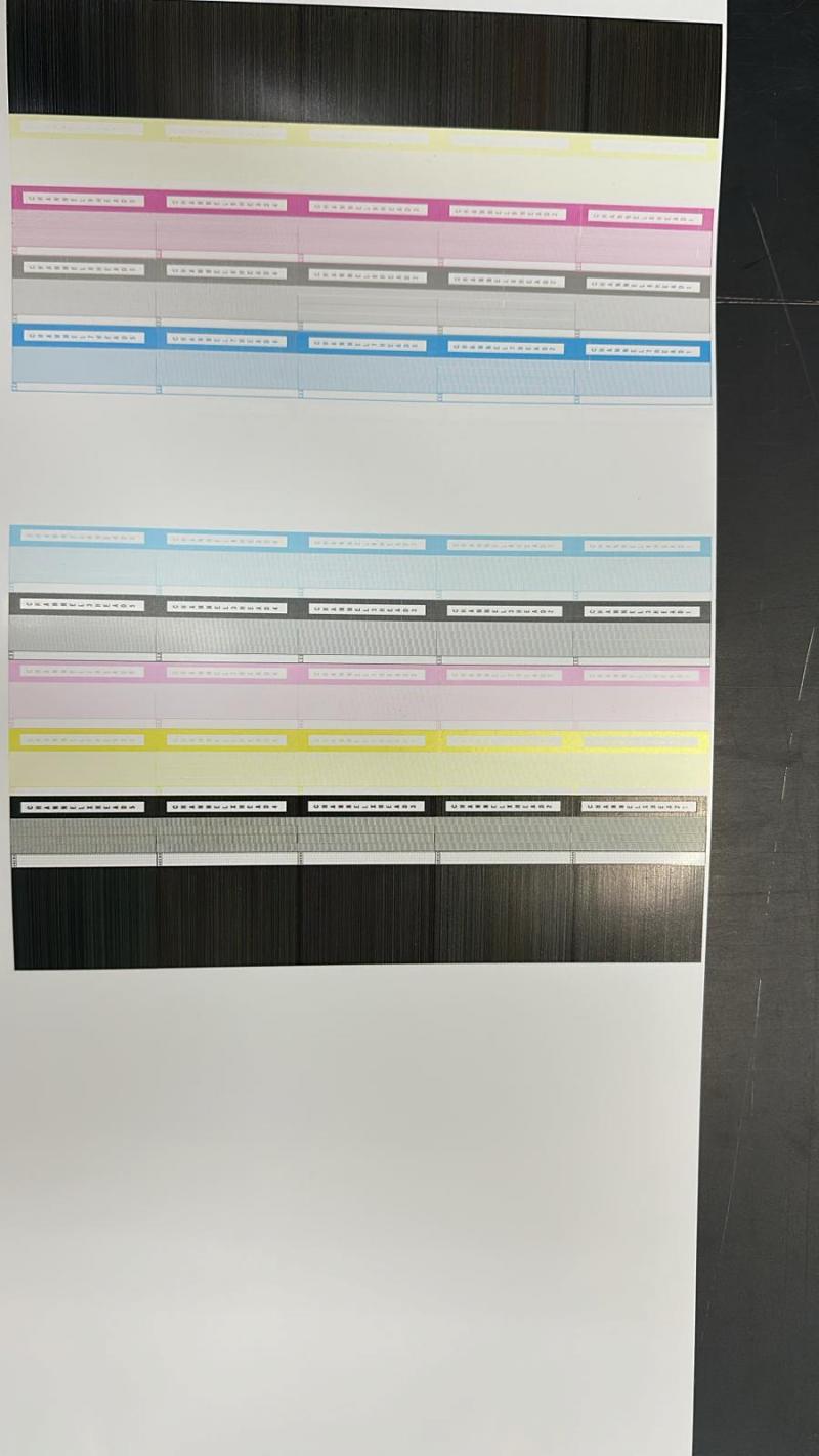 Efi Vutek H5 Pic 2