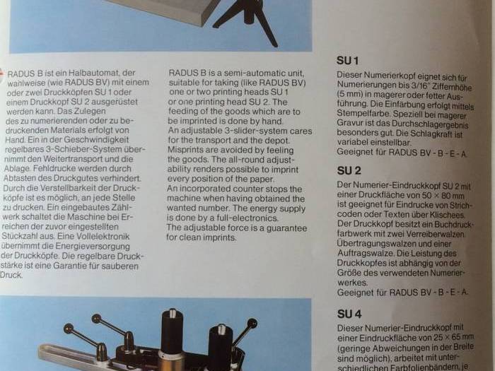 Herzig Radus B Pic 16
