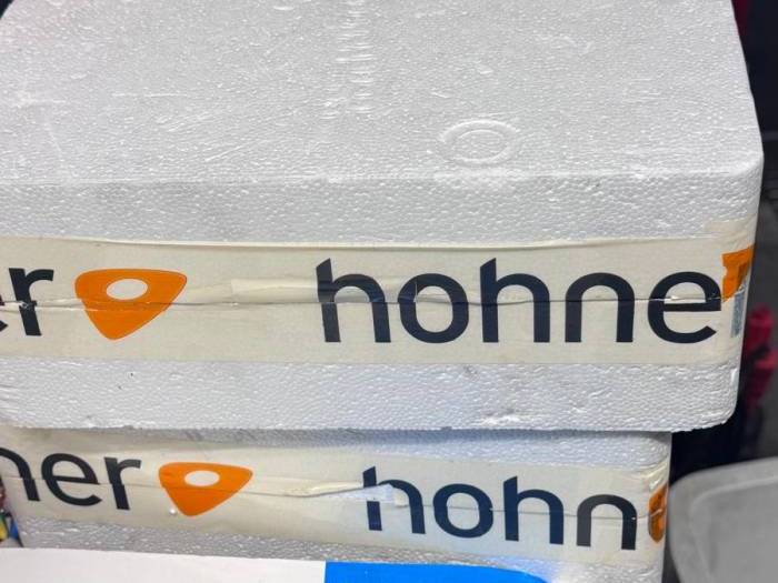 2xHohner Omega wie Neu Pic 2