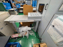 Horizon HT-80 Pic 7
