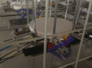 KML 600 Y Hydraulic Paper Plate Making Machine Pic 5