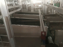 KML 600 Y Hydraulic Paper Plate Making Machine Pic 3