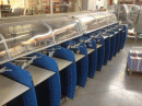 MKW Rapid Trans  T 20 --www.allgraphic.eu--