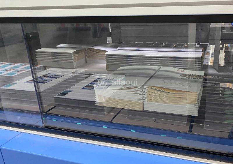 Segbert MPA 80 Palletiser Pic 6